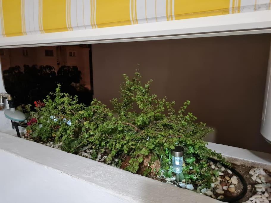 טורמולינוס Encantador Apartamento Residencial Con Piscina מראה חיצוני תמונה